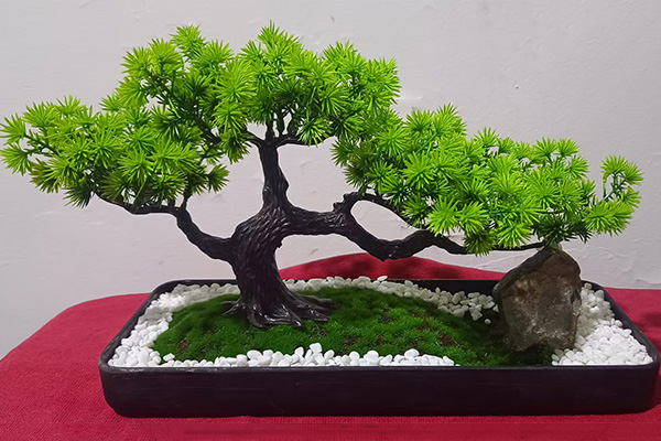 豐富經(jīng)驗(yàn)