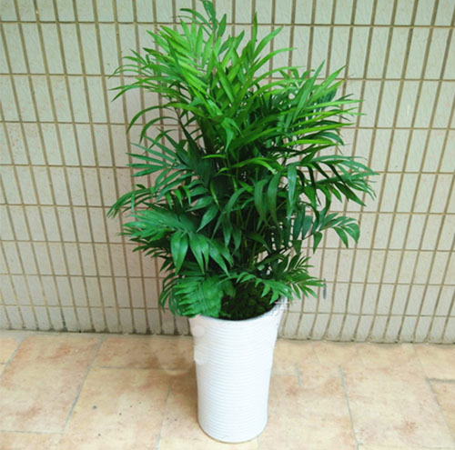 園林綠化工程如何進(jìn)行施工監(jiān)理