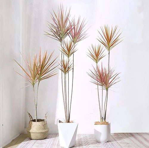 園林綠化工程中的設(shè)計原則有哪些