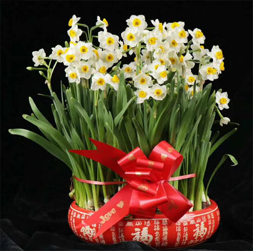 租花公司適合哪些場所使用